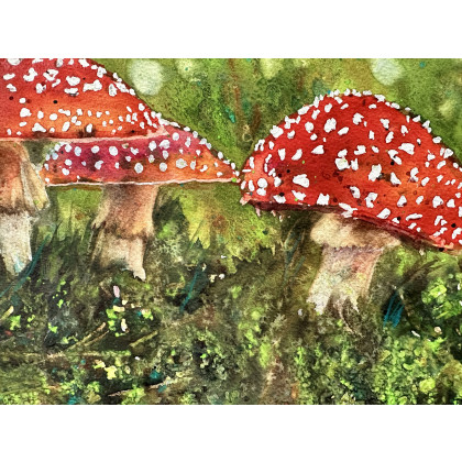 Krystyna Nowak - obrazy akwarela - Muchomorki (40x50 cm) foto #1
