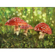 Muchomorki (40x50 cm)