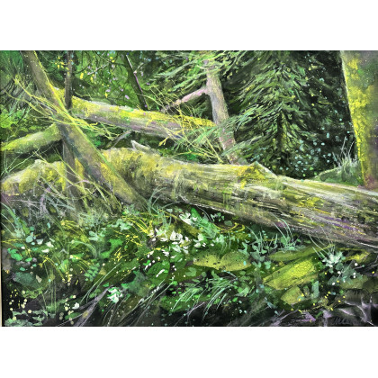 Puszcza (40x50 cm), Krystyna Nowak, obrazy akwarela