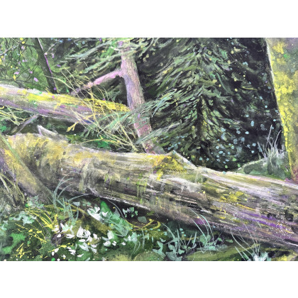 Krystyna Nowak - obrazy akwarela - Puszcza (40x50 cm) foto #2