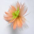 PIÓRKO kolczyki kwiatek amaran