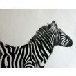 Zebra Matylda 35x45cm