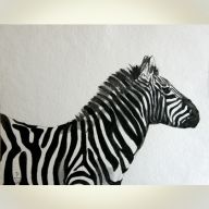 ZEBRA MATYLDA 35X45CM