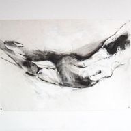 FLY