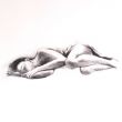 adult dream