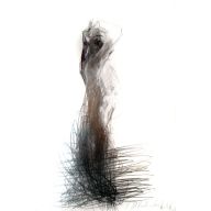 MAŁA WARIACJA XI 50X70