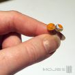 Tęczowa kropla z pomarańczą