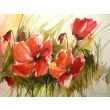maki 30x50