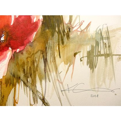 PLY - obrazy akwarela - maki 30x50 foto #2
