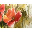 maki 30x50