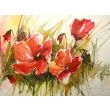 maki 30x50