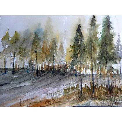   las, PLY, obrazy akwarela