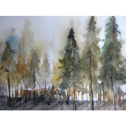 PLY - obrazy akwarela -   las foto #2