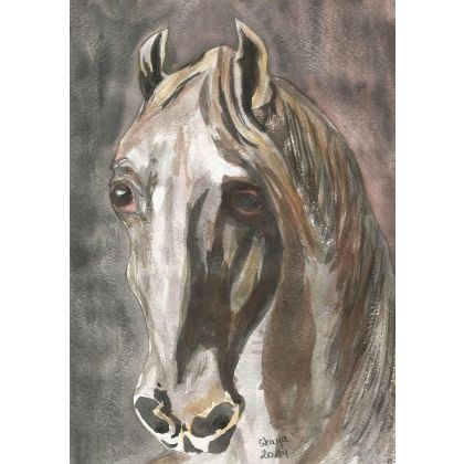 Głowa białego konia, Bożena Ronowska, obrazy akwarela