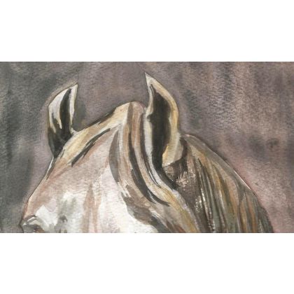 Bożena Ronowska - obrazy akwarela - Głowa białego konia foto #3