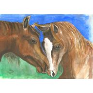 Dwa piękne konie