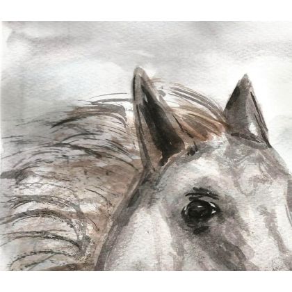 Bożena Ronowska - obrazy akwarela - Głowa białego konia II foto #1