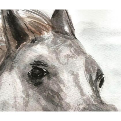 Bożena Ronowska - obrazy akwarela - Głowa białego konia II foto #2