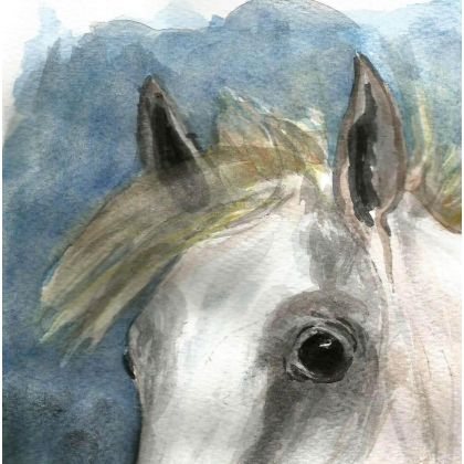Bożena Ronowska - obrazy akwarela - Głowa białego konia III foto #2