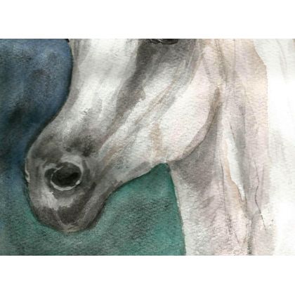 Bożena Ronowska - obrazy akwarela - Głowa białego konia III foto #3
