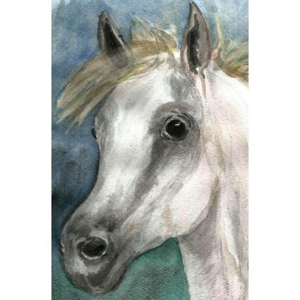 Bożena Ronowska - obrazy akwarela - Głowa białego konia III foto #4