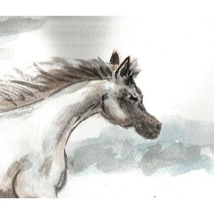 Bożena Ronowska - obrazy akwarela - Baiały koń w ruchu foto #2