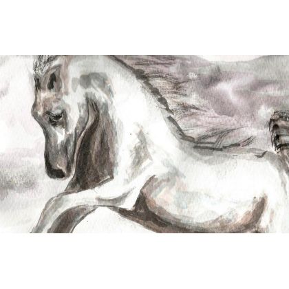 Bożena Ronowska - obrazy akwarela - Baiały koń w ruchu II foto #4