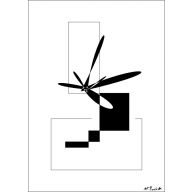geometria chaosu 01