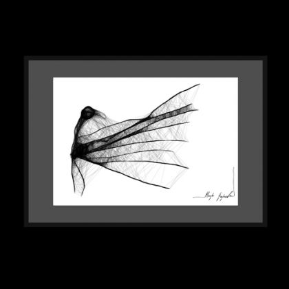 Maja Gajewska - Grafika cyfrowa - grafika XXXVIII foto #1