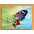 Motyl