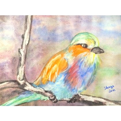 Kolorowy ptak na gałęzi, Bożena Ronowska, obrazy akwarela