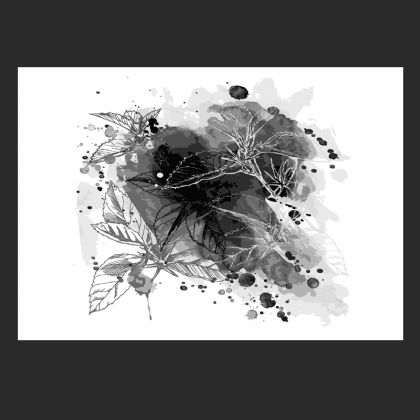 Maja Gajewska - Grafika cyfrowa - Grafika - fleur en pot - 01 foto #1
