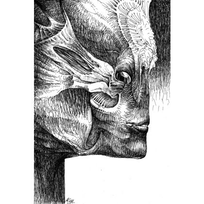 Druid, Krzysztof Krawiec, rysunki tech.mieszana
