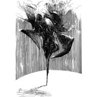 Opus 3  *piórko