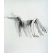 Woman 30x40