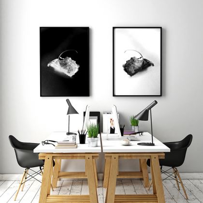 Komplet fotografii - "LEAF"3, Maja Gajewska, fotografia artystyczna