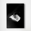 Komplet fotografii - "LEAF"3
