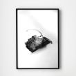 Komplet fotografii - "LEAF"3