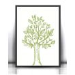 21x30 cm - Drzewo plakat botaniczny