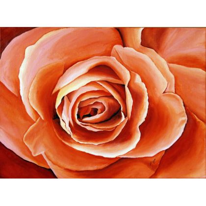 Platki róży, Maria Woithofer , obrazy olejne