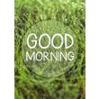 Plakat 50x70 - Good morning