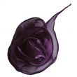 purple rose I