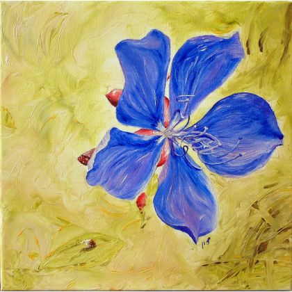 Kwiat, Maria Woithofer , obrazy olejne