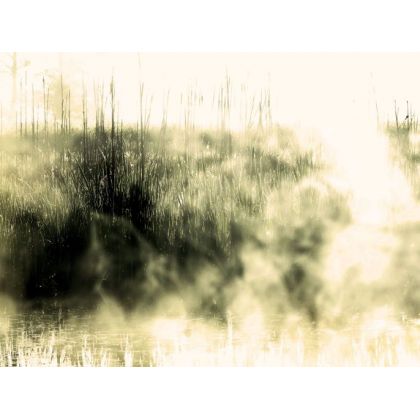 Pełna, przejasna obfitość poranka., Dariusz Żabiński, fotografia artystyczna
