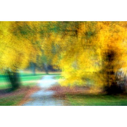 Jesień,pomimo wszystko samotność., Dariusz Żabiński, fotografia artystyczna
