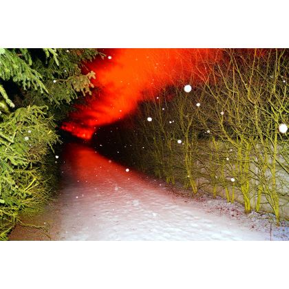 Czerwona łuna czyli spacer zimowa porą, Dariusz Żabiński, fotografia artystyczna