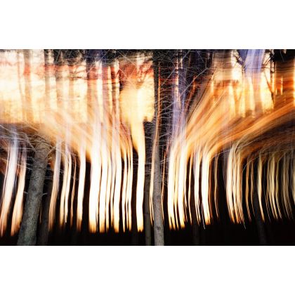 Tajemnicze światło w lesie., Dariusz Żabiński, fotografia artystyczna