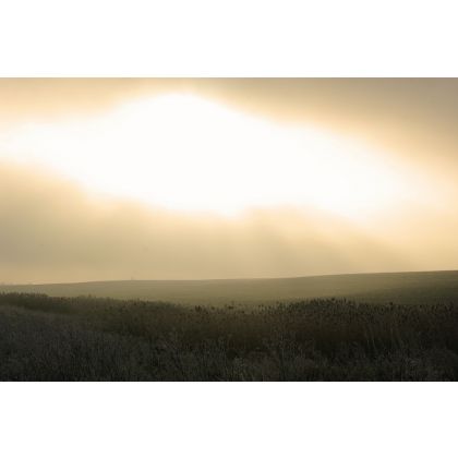 Percepcja grudniowego świtu., Dariusz Żabiński, fotografia artystyczna