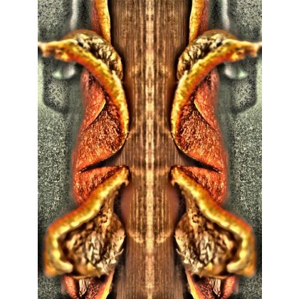 Kompozycja z bananem., Dariusz Żabiński, fotografia artystyczna