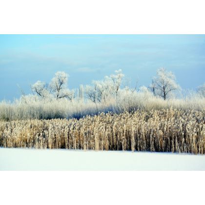 Zima czyli esencja pór roku bo jasnoś, Dariusz Żabiński, fotografia artystyczna